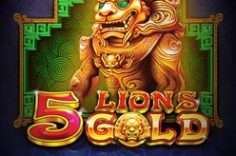 Play 5 Lions Gold slot at Pin Up